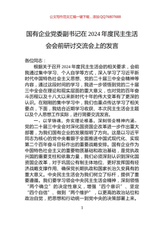 国有企业党委副书记在2024年度民主生活会会前研讨交流会上的发言