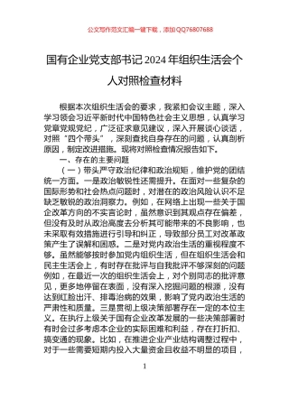 国有企业党支部书记2024年组织生活会个人对照检查材料