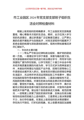市工业园区2024年党支部支部班子组织生活会对照检查材料