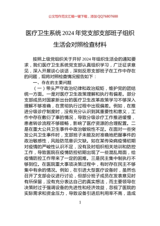 医疗卫生系统2024年党支部支部班子组织生活会对照检查材料