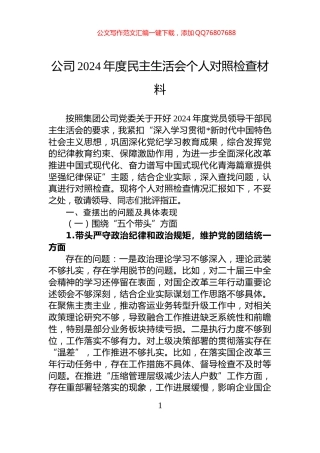 公司2024年度民主生活会个人对照检查材料