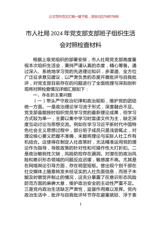 市人社局2024年党支部支部班子组织生活会对照检查材料