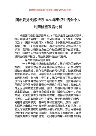 团市委党支部书记2024年组织生活会个人对照检查发言材料