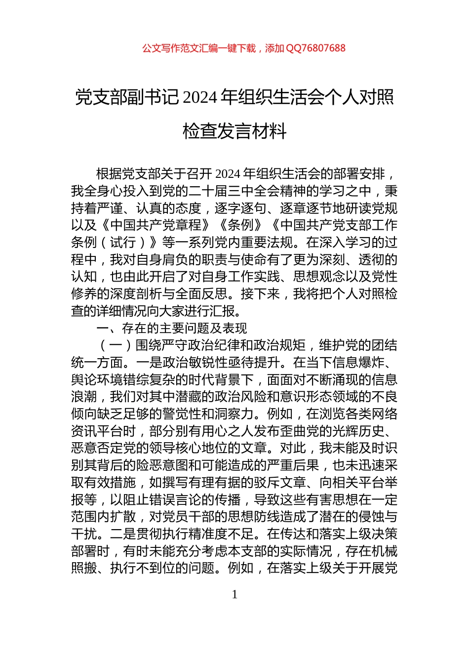 党支部副书记2024年组织生活会个人对照检查发言材料_第1页