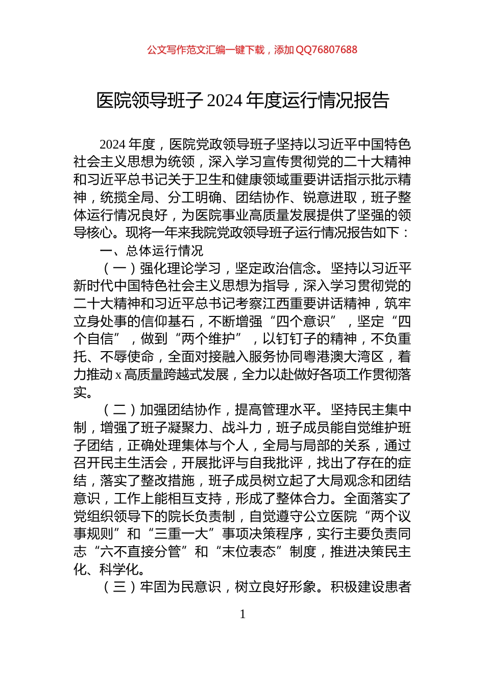 医院领导班子2024年度运行情况报告_第1页