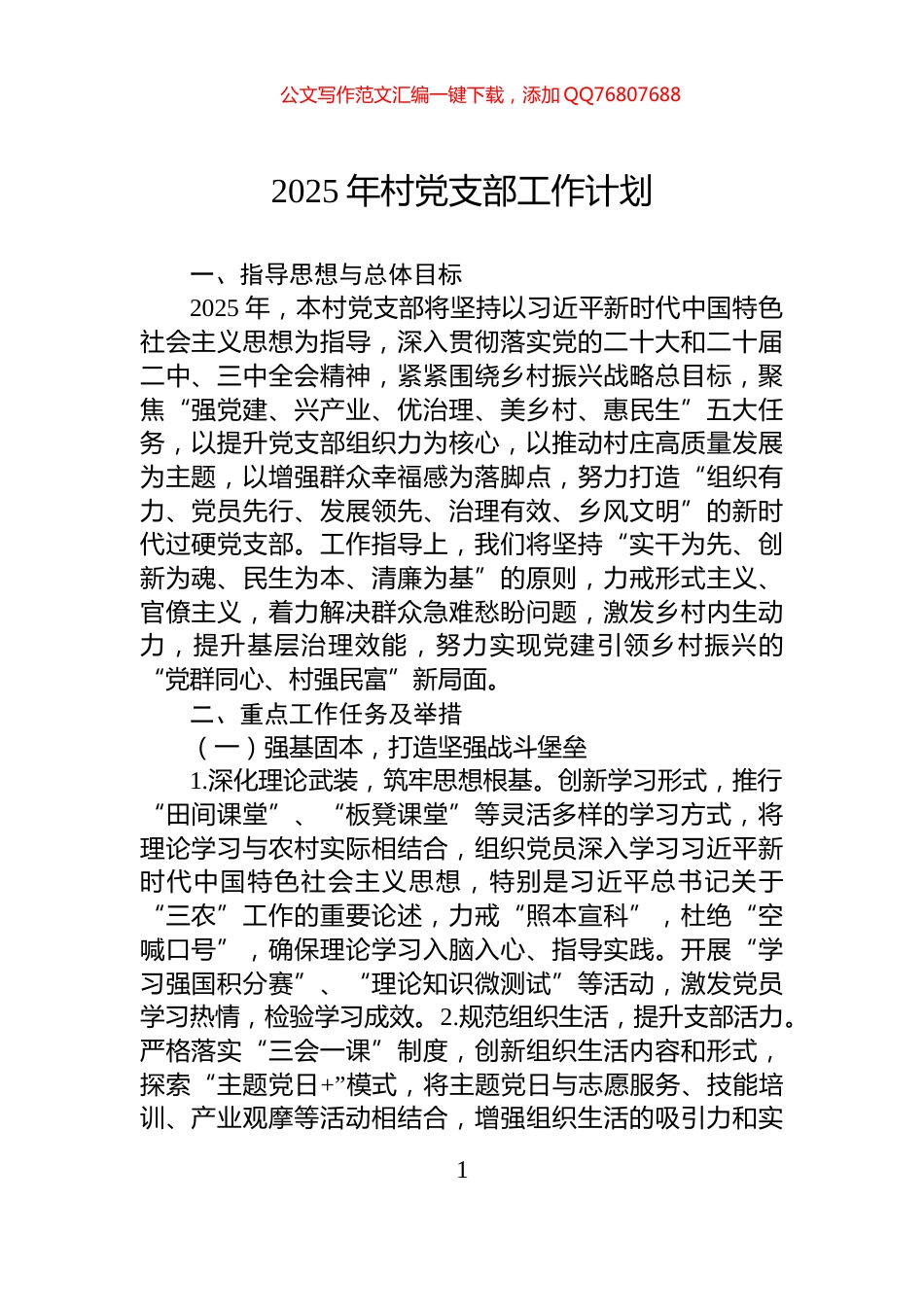 2025年村党支部工作计划_第1页