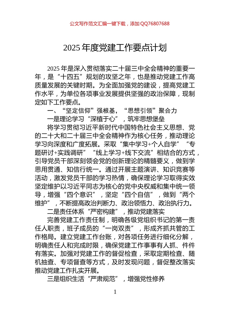 2025年度党建工作要点计划_第1页