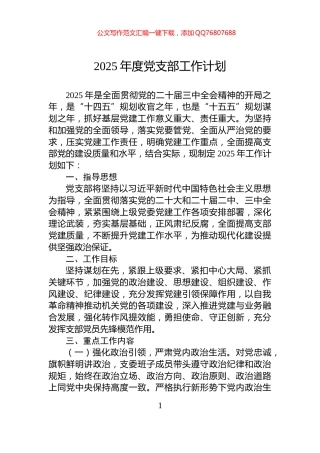 2025年度党支部工作计划