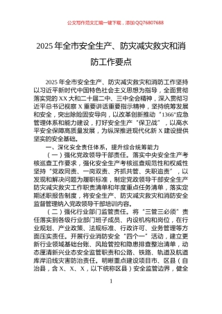 2025年全市安全生产、防灾减灾救灾和消防工作要点