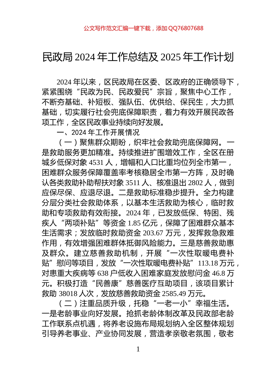 民政局2024年工作总结及2025年工作计划_第1页