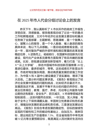 在2025年市人代会分组讨论会上的发言