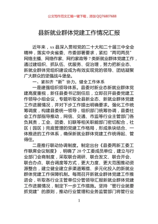 县新就业群体党建工作情况汇报