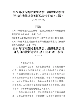 2024年度专题民主生活会、组织生活会批评与自我批评意见汇总参考汇编（3篇）
