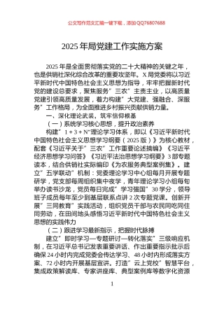 2025年局党建工作实施方案