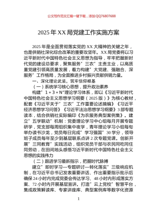 2025年XX局党建工作实施方案