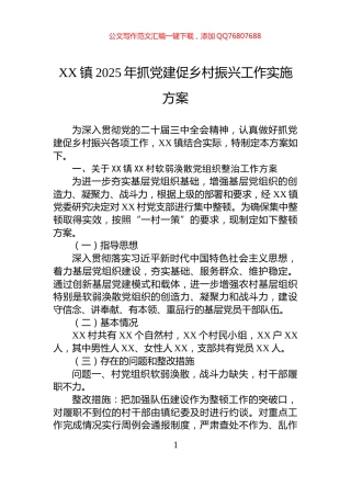 XX镇2025年抓党建促乡村振兴工作实施方案