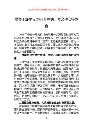 领导干部学习2025年中央一号文件心得体会