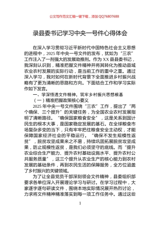 录县委书记学习中央一号件心得体会