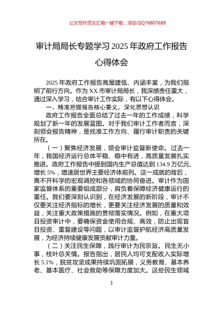 审计局局长专题学习2025年政府工作报告心得体会