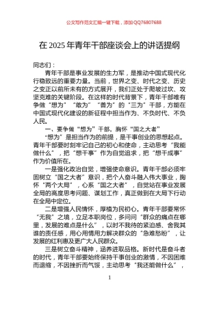 在2025年青年干部座谈会上的讲话提纲