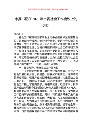 市委书记在2025年市委社会工作会议上的讲话