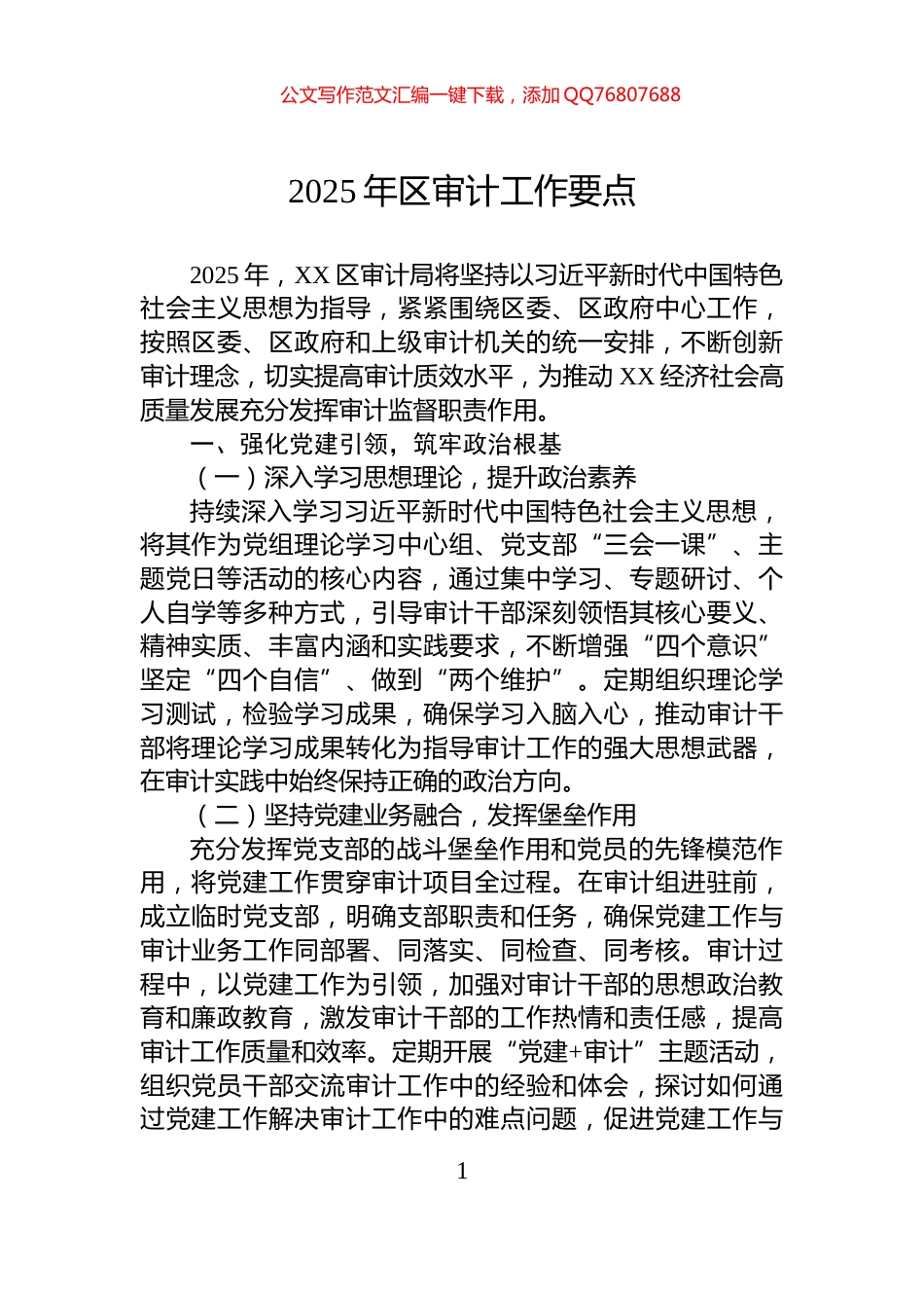 2025年区审计工作要点_第1页