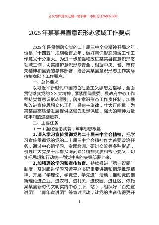 2025年某某县直意识形态领域工作要点