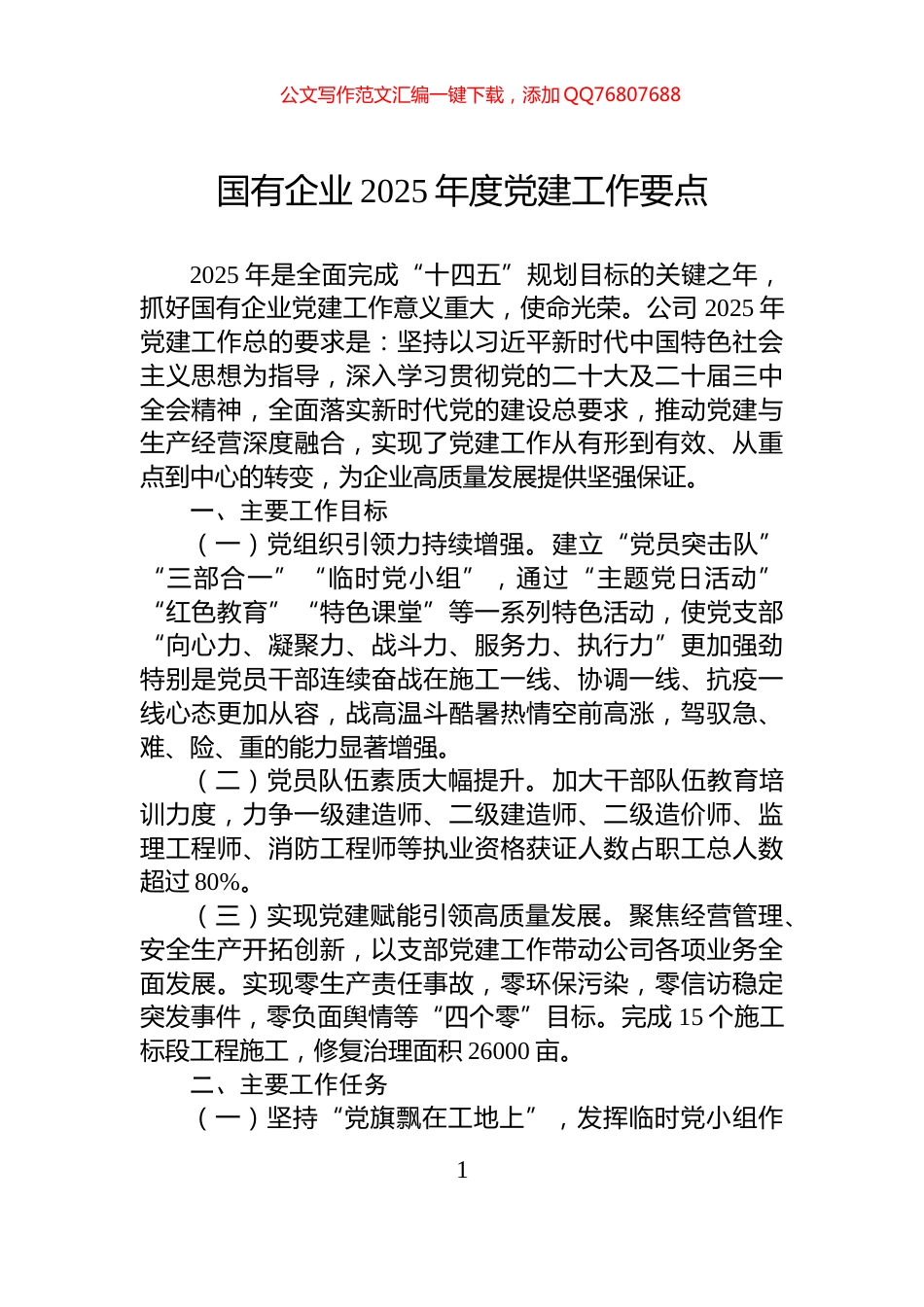 国有企业2025年度党建工作要点_第1页