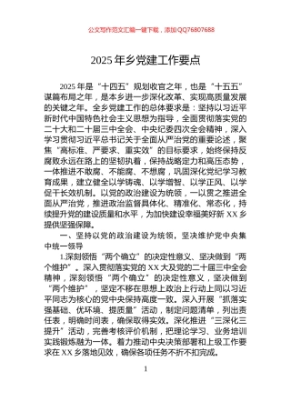 2025年乡党建工作要点