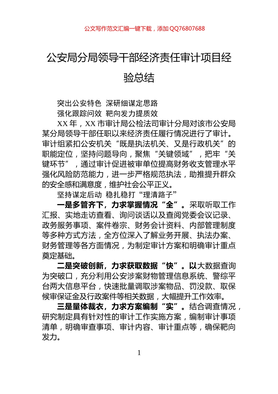公安局分局领导干部经济责任审计项目经验总结_第1页