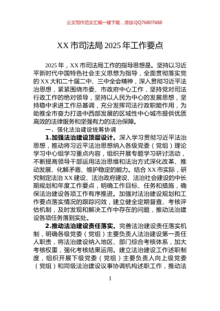 XX市司法局2025年工作要点
