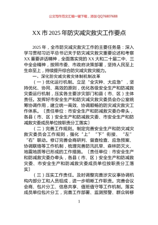 XX市2025年防灾减灾救灾工作要点