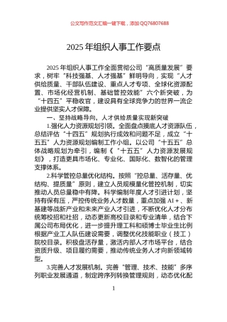 2025年组织人事工作要点