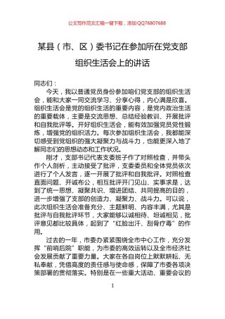 某县（市、区）委书记在参加所在党支部组织生活会上的讲话