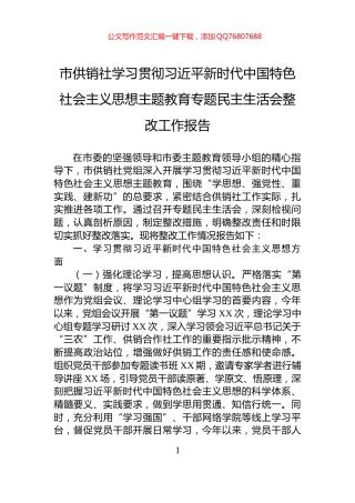 市供销社学习贯彻习近平新时代中国特色社会主义思想主题教育专题民主生活会整改工作报告