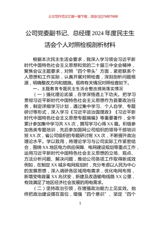 公司党委副书记、总经理2024年度民主生活会个人对照检视剖析材料