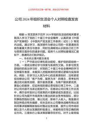 公司2024年组织生活会个人对照检查发言材料
