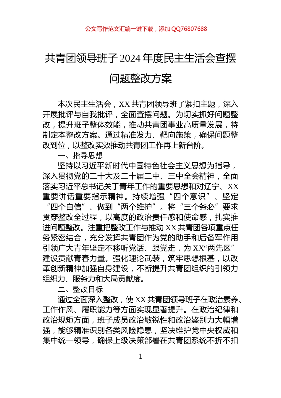共青团领导班子2024年度民主生活会查摆问题整改方案_第1页