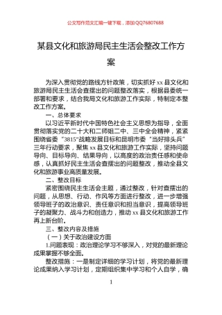某县文化和旅游局民主生活会整改工作方案