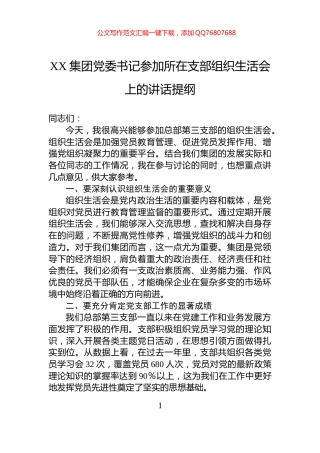 XX集团党委书记参加所在支部组织生活会上的讲话提纲