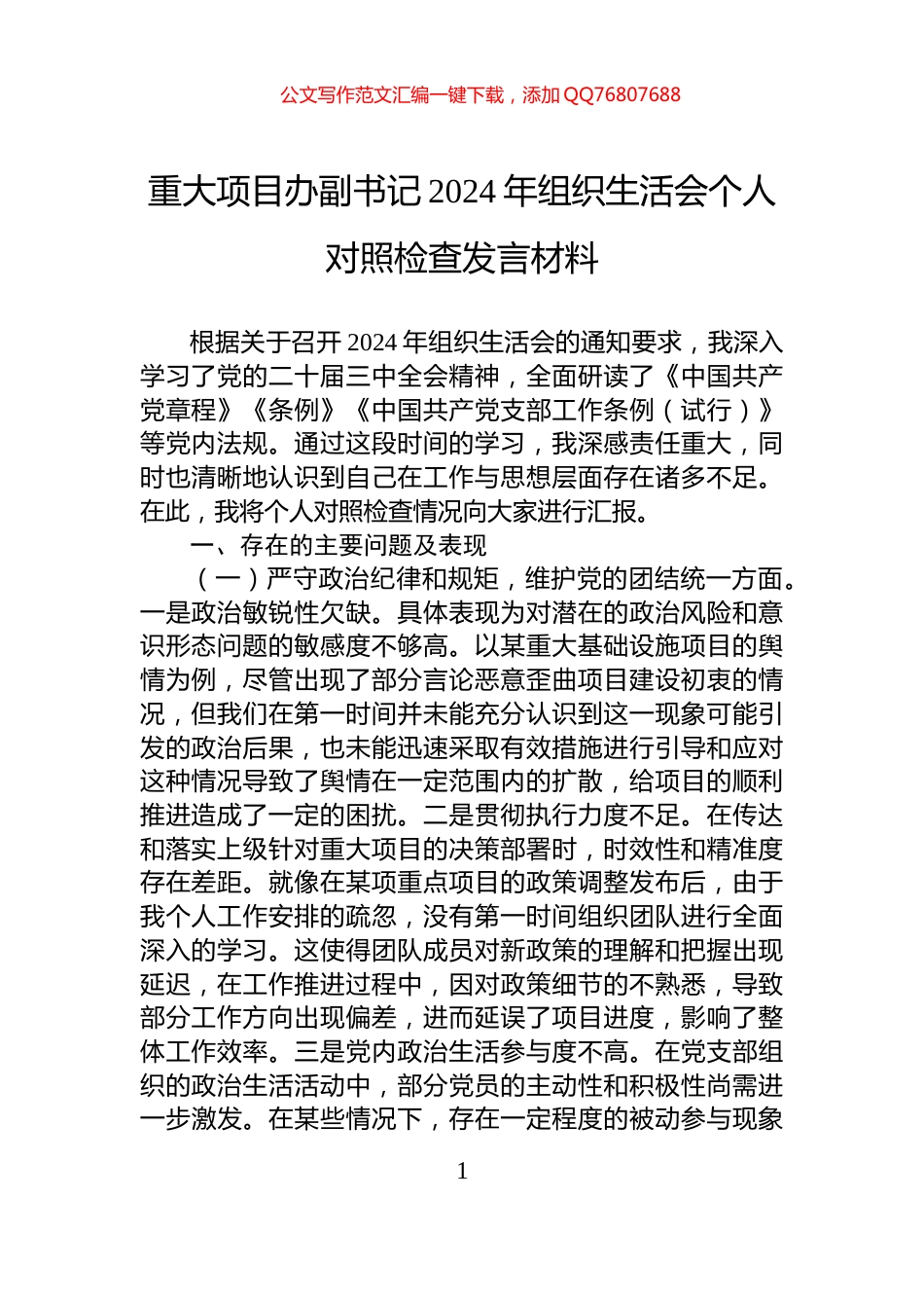 重大项目办副书记2024年组织生活会个人对照检查发言材料_第1页