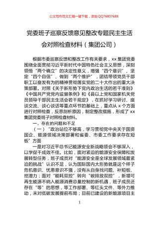 党委班子巡察反馈意见整改专题民主生活会对照检查材料（集团公司）