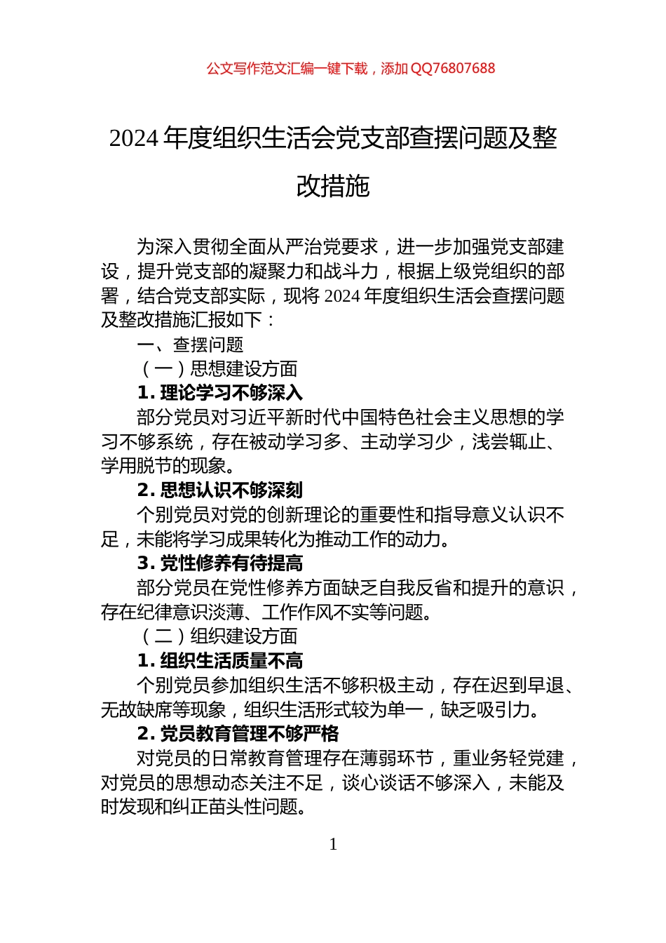 2024年度组织生活会党支部查摆问题及整改措施_第1页