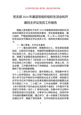 党支部2024年基层党组织组织生活会和开展民主评议党员工作报告