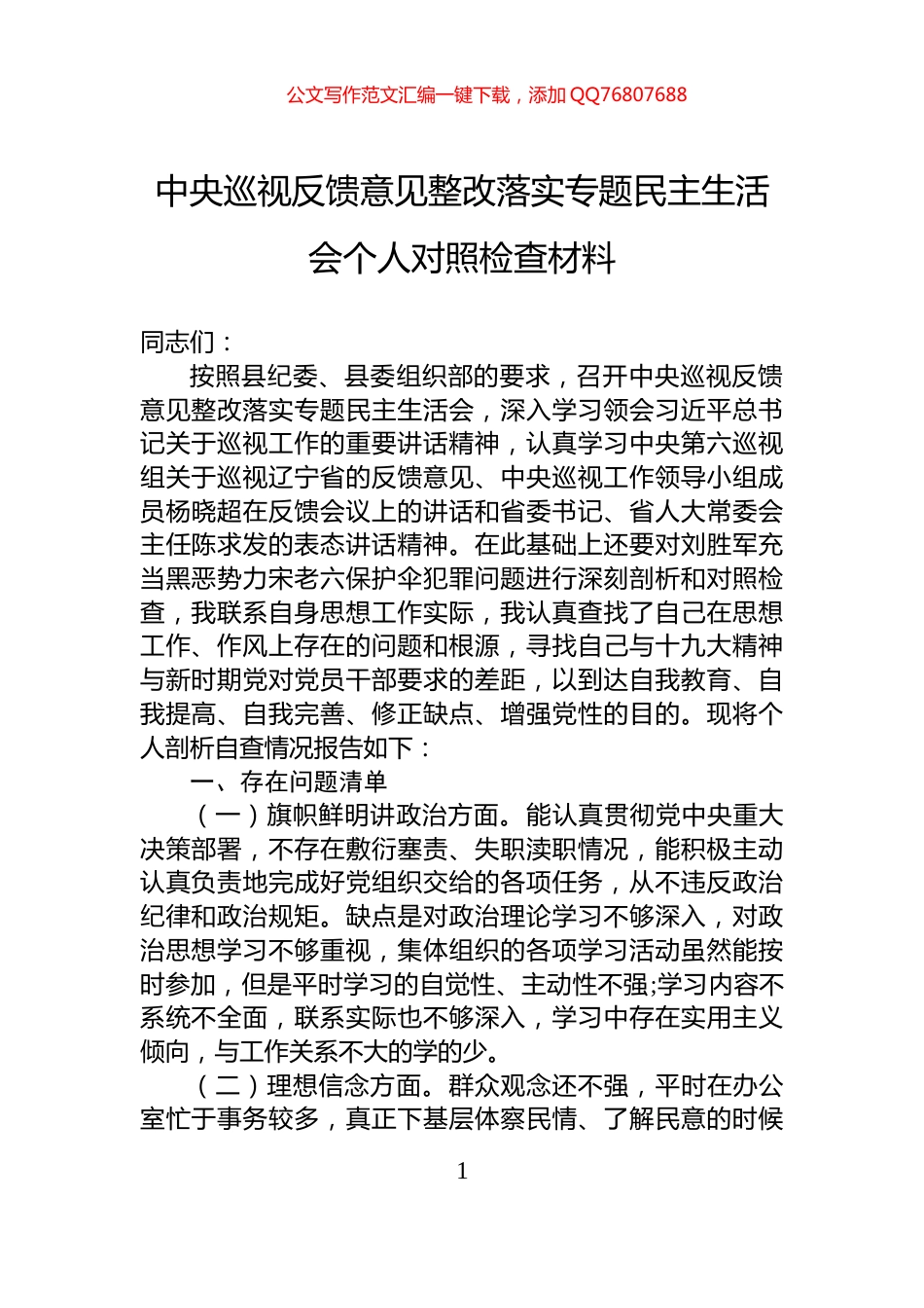 中央巡视反馈意见整改落实专题民主生活会个人对照检查材料_第1页