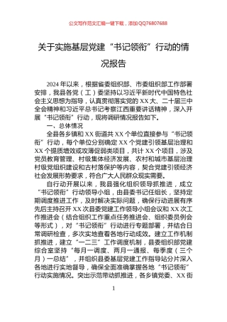 关于实施基层党建“书记领衔”行动的情况报告