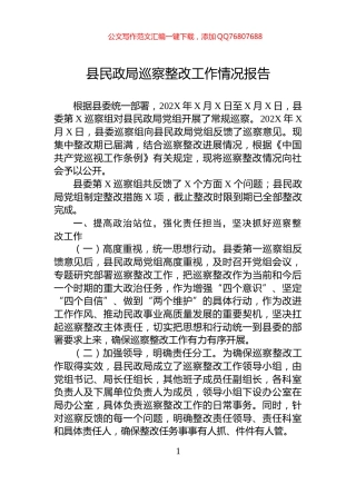 县民政局巡察整改工作情况报告