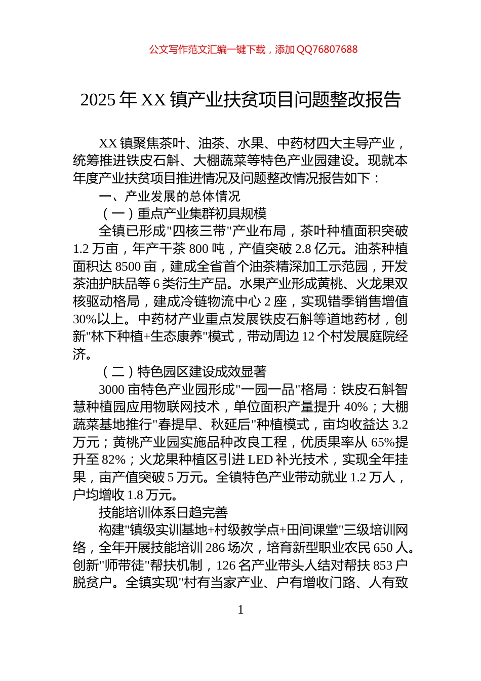 2025年XX镇产业扶贫项目问题整改报告_第1页