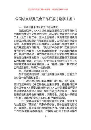 公司总支部委员会工作汇报（巡察主备）