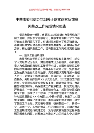 中共市委网信办党组关于落实巡察反馈意见整改工作完成情况报告